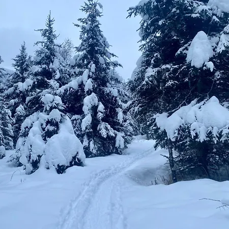 Sonnalm 102 アパート ラウリス