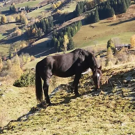 アパート Sonnalm 102