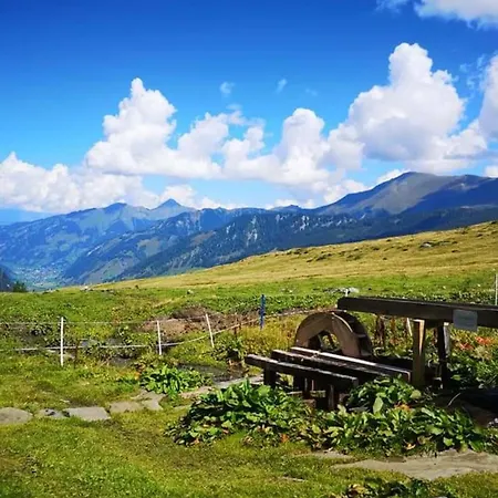 Sonnalm 102 アパート ラウリス