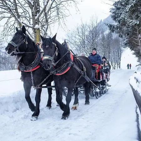 Sonnalm 102 ラウリス