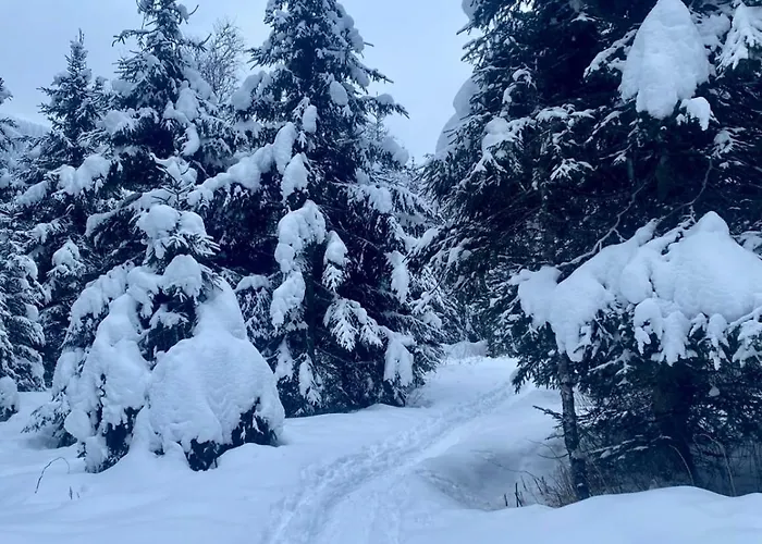 Sonnalm 102 Διαμέρισμα Rauris