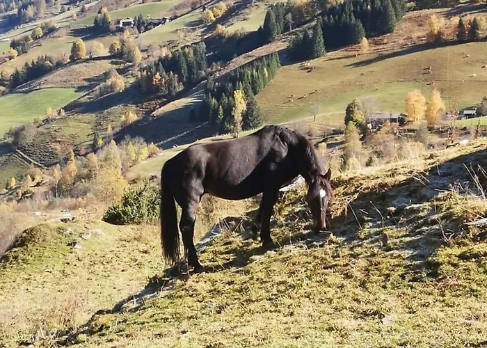 Διαμέρισμα Sonnalm 102