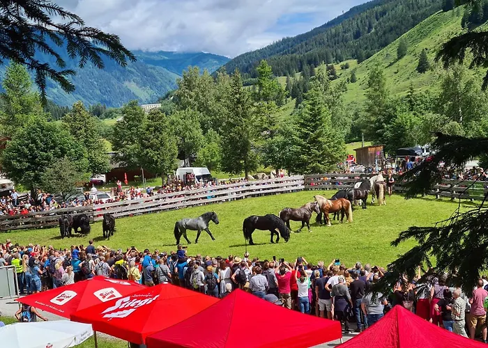 Διαμέρισμα Sonnalm 102 *